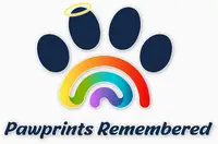 Benetton-SCLC-GNOM2-5M-ENC