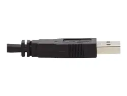 Eaton Tripplite-P783-010-DPU