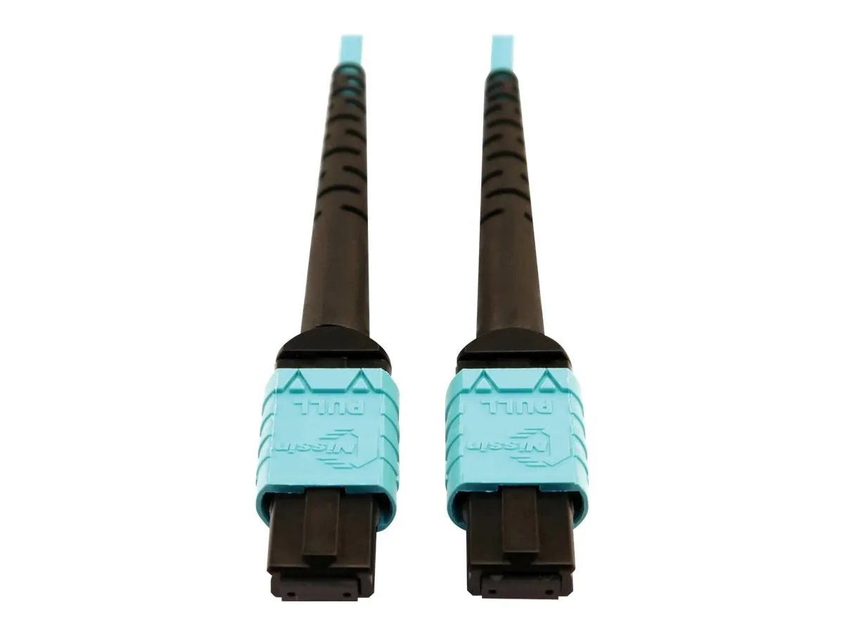 Eaton Tripplite-N846D10M24AAQ