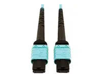 Eaton Tripplite-N846D-10M-24AAQ