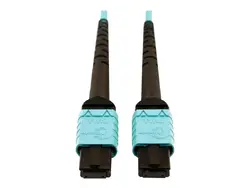 Eaton Tripplite-N846D-10M-24AAQ