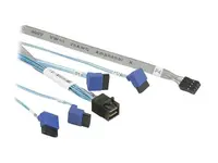 RUBRIK GO-CBL-SAST-0810