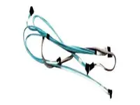 RUBRIK GO-CBL-0278L