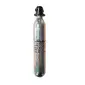 Leland Maximum Inflation-V86160-85202Z