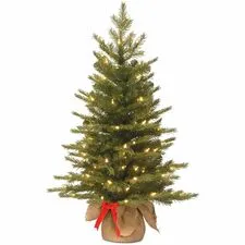 National Tree Company-NLT729083251597