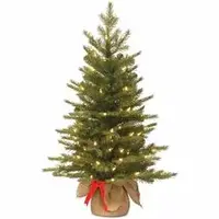 National Tree Company-NLT 729083251597