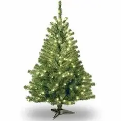 National Tree Company-NLT 729083908101