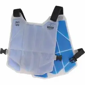 Tenacious Holdings Inc EGO 12222 - Ergodyne Chill-Its 6210 Phase Change Cooling Vest - Recommended for: Indoor/Outdoor - Warm Temperature, Heat Stress, Heat, Abrasion Protection - Hook & Loop Closure - Nylon - Blue - Form Fit, Long Lasting, Lightweight, Adjustable, Hook & Loop, Easy to Clean, Comfortable, Machine Washable, Buckle Closure - 1 / Each
