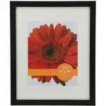 Victory Light, Ltd VLU 1068275B1620