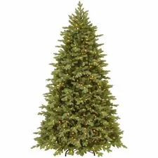 National Tree Company-NLT729083786181