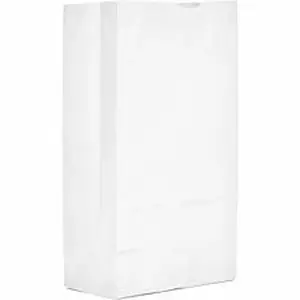 Ajm Packaging Corp. AJM WB12NP5CES - AJM Paper Grocery Bags - Bleached Kraft - Paper - Grocery, Supplies - Recycled - 500 / Carton