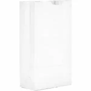 Ajm Packaging Corp. AJM WB10NP5CES - AJM Self-Standing Paper Grocery Bags - Bleached Kraft - Paper - Grocery, Supplies - 500 / Carton