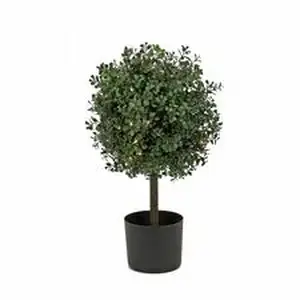 National Tree Company NLT 729083527173 - National Tree Boxwood Topiary Tree - 2" Tall - Boxwood - Topiary - Pot1 Each