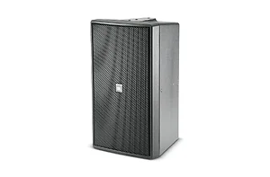 Jbl 0087-2335 - Control 29AV-1 Indoor/Outdoor 2-Way Speaker - Black