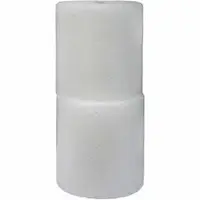Sealed Air Corporation SEL 100002542