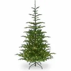 National Tree Company-NLT 729083277672