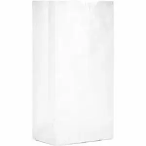 Ajm Packaging Corp. AJM WB04NP5CES - AJM Paper Grocery Bags - Bleached Kraft - Paper - Grocery, Supplies - Recycled - 500 / Carton