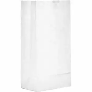 Ajm Packaging Corp. AJM WB08NP5CES - AJM Paper Grocery Bags - Bleached Kraft - Paper - Grocery, Supplies - Recycled - 500 / Carton