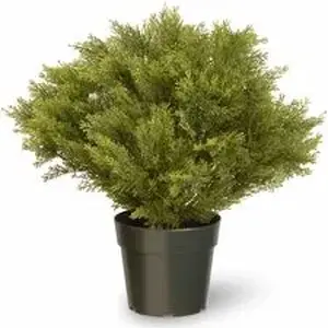 National Tree Company NLT 729083602283 - National Tree Globe Juniper Topiary Tree - Juniper - Topiary - Pot1 Each