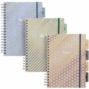 Pukka Pads 2000, Ltd PKP 9975ASTHZE - Pukka Pads Haze Notebook - 100 Sheets - 200 Pages - Twin Wirebound - 80 g/m² Grammage - Clear Poly, Transparent Cardboard Cover - Repositionable Divider, Storage Pocket - 3 / Pack