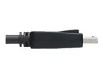 Eaton Tripplite P579-015