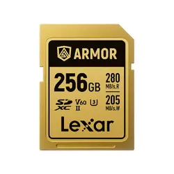 Lexar-LSDAMGL256G-RNNNG