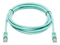 Eaton Tripplite-N261-010-AQ