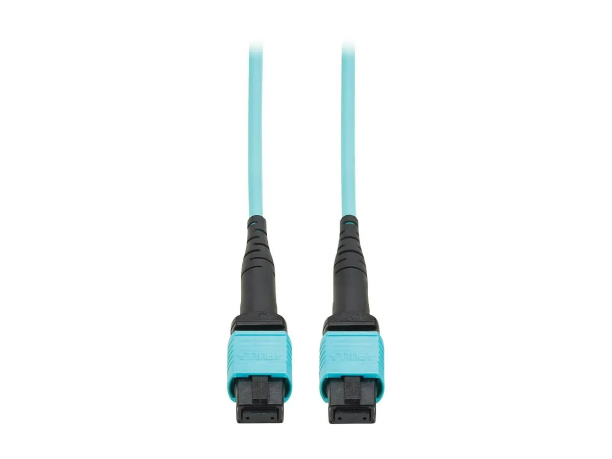 Eaton Tripplite-N845A10M12TAA