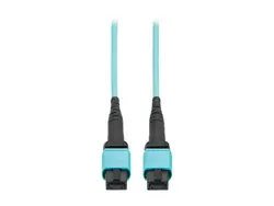 Eaton Tripplite-N845A-10M-12TAA