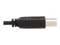 Eaton Tripplite-P784-006-U