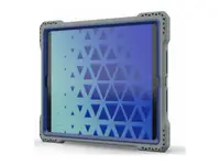 Bamboo Origins MAXIN-AP-SXX2H-IP10-CCL