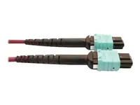 Eaton Tripplite-N846D-01M-16DMG