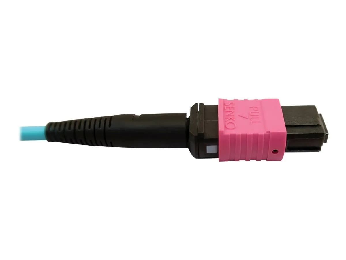 Eaton Tripplite-N846D05M24DAQ