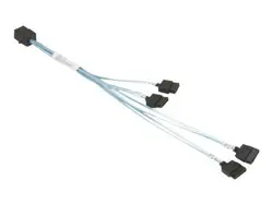 RUBRIK GO-CBL-SAST-0703