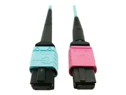 Eaton Tripplite-N846D-01M-24DAQ