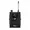 XSW IEM EK (A)
