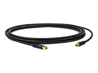 Sennheiser-CL 20 PP