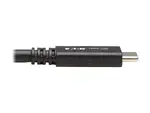 Eaton Tripplite U420-20N-G2-5A