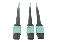 Eaton Tripplite-N846D-01M-24BAQ