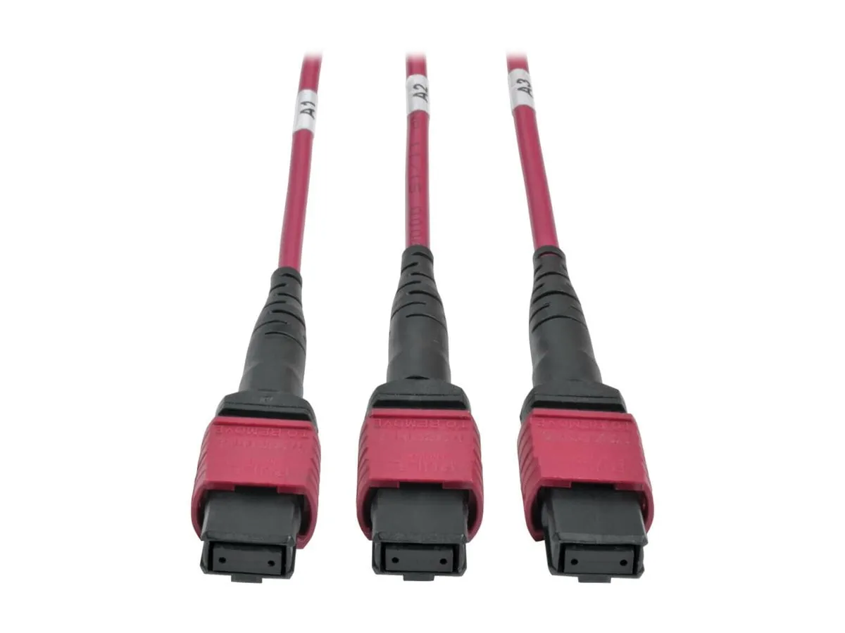 Eaton Tripplite-N4823M8L12B