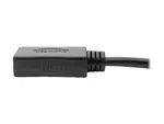 Eaton Tripplite P139-06N-DP4K6B