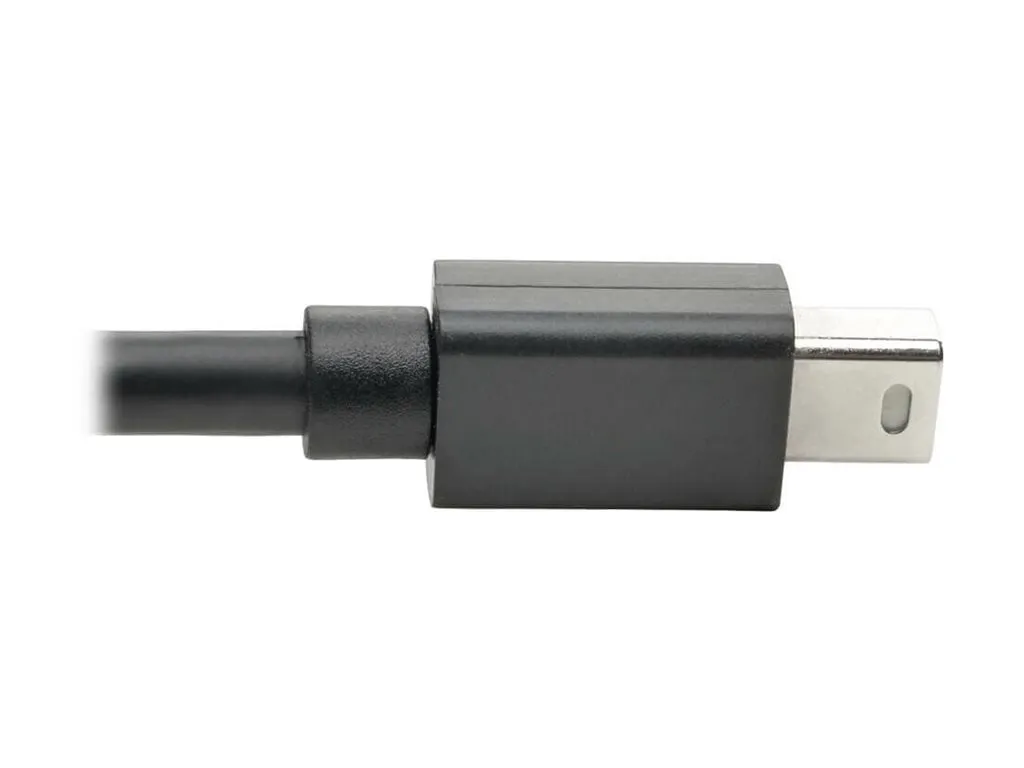 Eaton Tripplite-P585010