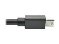 Eaton Tripplite-P585-010