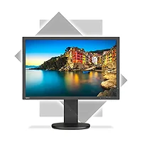 NEC-P243W-BK
