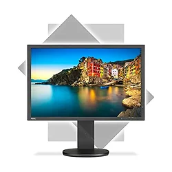 NEC-P243W-BK