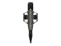 Sennheiser-MKH 800 TWIN NX