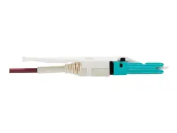 Eaton Tripplite-N822C-10M-MG