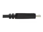 Eaton Tripplite P581AB-006