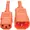 P004-003-AOR