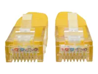 Eaton Tripplite-N200-007-YW